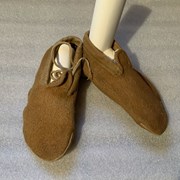 Cover image of  Moccasins